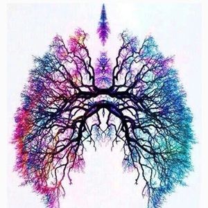 Meet your Posher, Karin